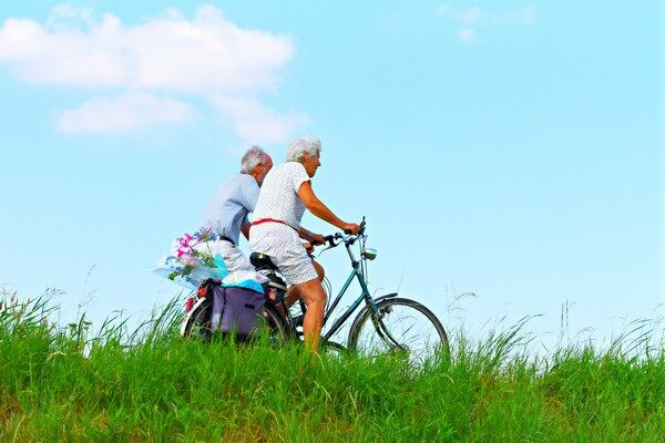 养老保险一年要交多少钱 e养添年养老年金作分析